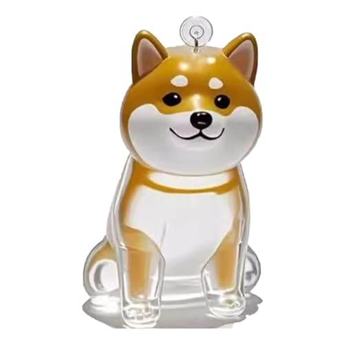 YYDSWTW Hundehaarschlüsselkettenanhänger Pelz Pelz transparenter Behälter Hanging Charm Pet Memorial Storage Box 1 Pack für Besitzer C von YYDSWTW