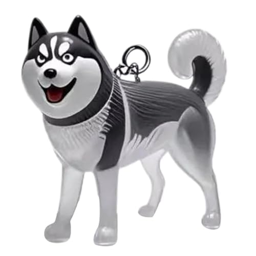 YYDSWTW Hundehaarschlüsselkettenanhänger transparenter Behälter 1 Pack tragbares Hangch Charme Form für Eigentümer Pet Memorial Fell A von YYDSWTW