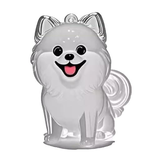 YYDSWTW Hundehaarschlüsselkettenanhänger transparenter Behälter 1 Pack tragbares Hangch Charme Form für Eigentümer Pet Memorial Fell B von YYDSWTW