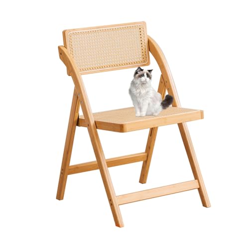 YYDSWTW Lounge Stuhl Essstuhl mit Rückenlehne Armless Stuhl Esszimmerstuhl Stuhl A YYDSWTW Lounge Stuhl Essstuhl mit Rückenlehne Armless Stuhl Esszimmerstuhl Stuhl A von YYDSWTW