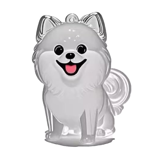 YYDSWTW PET Memorial Storage Box Souvenir Keyring Fell Transparent Container tragbarer 1 Pack für Besitzer, die Charmeform hängen B von YYDSWTW