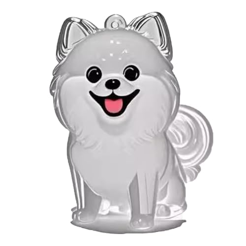 YYDSWTW PET Memorial Storage Box Souvenir Schlüsselring Fell Transparent Container Hund Haarschlüsselketten tragbare Form Hanging Charm 1 Pack B von YYDSWTW