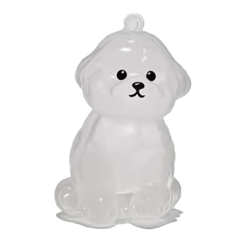 YYDSWTW Pet Memorial Storage Box Hanging Charm Hunde Haar Schlüsselbund Fell transparentes Behälter tragbarer Souvenirschlüsselung für Eigentümer D von YYDSWTW