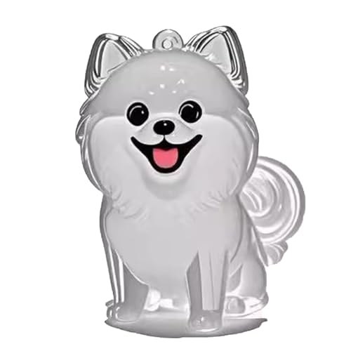 YYDSWTW Pet Memorial Storage Box Hunde Haar Schlüsselbund Fell Transparent Container 1 Pack tragbar für Besitzer, die Charmeform Souvenir hängen B von YYDSWTW