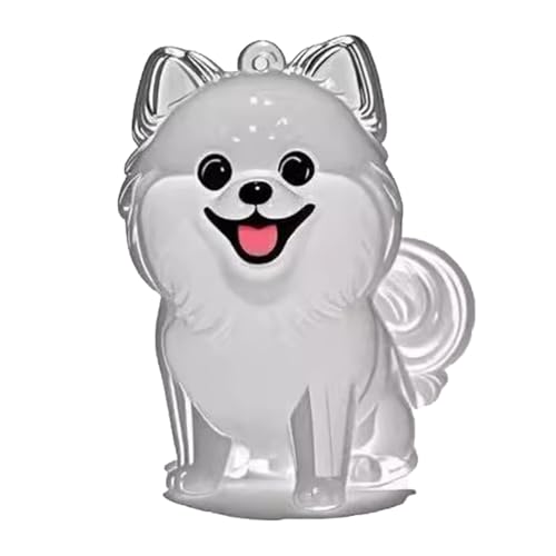YYDSWTW Pet Memorial Storage Box Tragbares Fell transparentes Behälter Hund Haarschlüsselhain 1 Packform für Besitzer, die den Charme hängen B von YYDSWTW