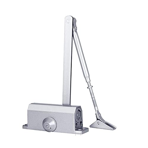 Türschließer mit hydraulischer Feder, Softclose mit automatisch verstellbarem Arm, betrieben für gewerbliche und häusliche Türen mit einem Gewicht von 25-45 kg (Farbe : Stil 1, Größe S: Medium|Stil 1 von YYGHF