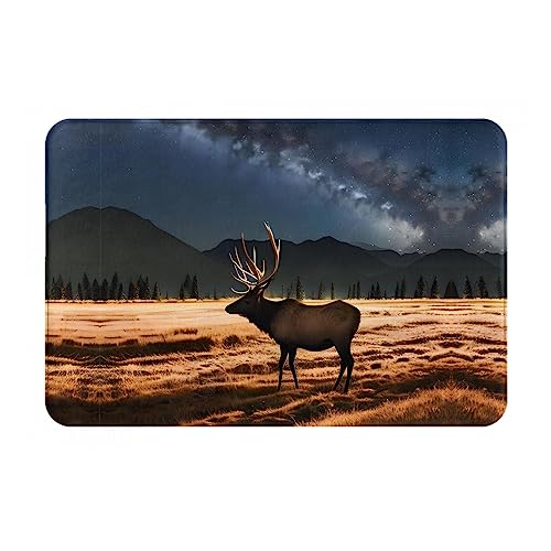 YYHHAOFA Fußmatte Elch in The Meadow Prints 40,6 x 61 cm, rutschfest und leicht zu reinigen, geeignet für Haustür, Schlafzimmer, Wohnzimmer, Büro ​ von YYHHAOFA