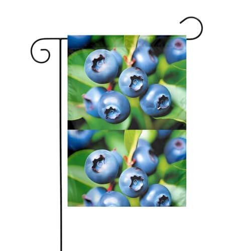 YYHHAOFA Gartenflagge mit Obst-Blaubeer-Muster, 30,5 x 45,7 cm, für Garten, Terrasse, Balkon YYHHAOFA Gartenflagge mit Obst-Blaubeer-Muster, 30,5 x 45,7 cm, für Garten, Terrasse, Balkon von YYHHAOFA