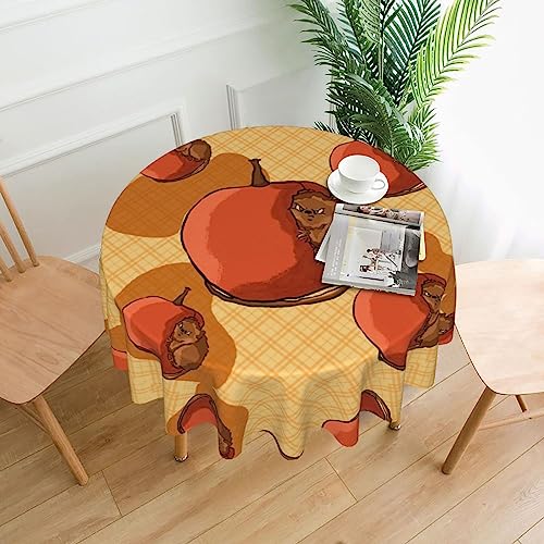 YYHHAOFA Tischdecke – waschbar und wiederverwendbar, perfekt als Schutz und Dekoration für den Esstisch, 152,4 cm. Niedlicher kleiner Hamsterdruck YYHHAOFA Tischdecke – waschbar und wiederverwendbar, perfekt als Schutz und Dekoration für den Esstisch, 152,4 cm. Niedlicher kleiner Hamsterdruck von YYHHAOFA
