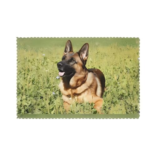 YYHHAOFA Tischsets mit Aufdruck "Deutscher Schäferhund", für Esstisch, 6 Stück, dickes und stabiles Design für hervorragende Verschleißfestigkeit, gute Faltenbeständigkeit YYHHAOFA Tischsets mit Aufdruck "Deutscher Schäferhund", für Esstisch, 6 Stück, dickes und stabiles Design für hervorragende Verschleißfestigkeit, gute Faltenbeständigkeit von YYHHAOFA