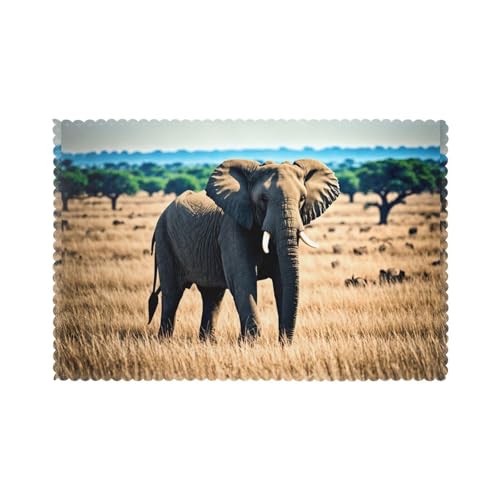 YYHHAOFA Tischsets mit afrikanischem Elefanten-Druck, für Esstisch, 30,5 x 45,7 cm, hitzebeständig, für Hotels, Häuser und Bankette, 6 Stück YYHHAOFA Tischsets mit afrikanischem Elefanten-Druck, für Esstisch, 30,5 x 45,7 cm, hitzebeständig, für Hotels, Häuser und Bankette, 6 Stück von YYHHAOFA