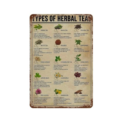 YYHMKBYY Types of Herbalteas Computer Programming Knowledge Retro Vintage Blechschild für Infografiken Metallschild Poster für Bar Café Schule，30 x 40 cm (12 x 16 Zoll)-13 von YYHMKBYY
