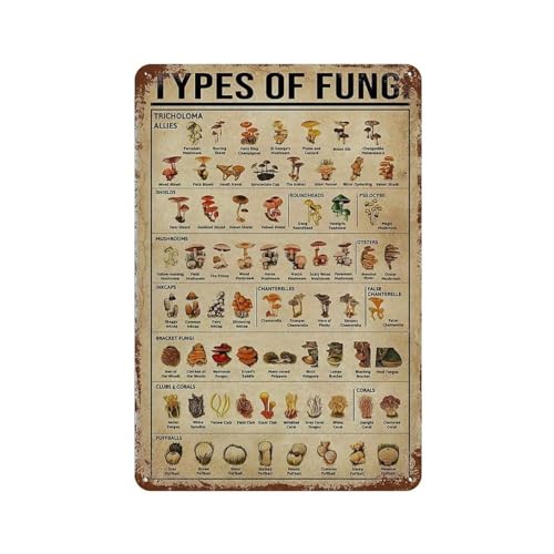 YYHMKBYY Types ofComputer Programming Knowledge Retro Vintage Blechschild für Infografiken Metallschild Poster für Bar Café Schule，30 x 40 cm (12 x 16 Zoll)-12 von YYHMKBYY