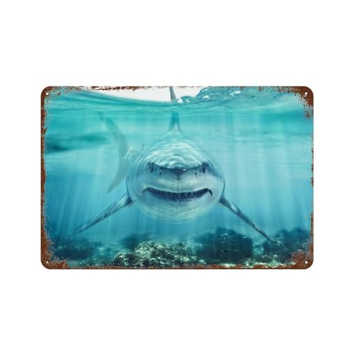 YYHMKBYY Auge in Auge mit einem weißen Hai,Blechschild Metall Pub Club Cafe Bar Home Wandkunst Dekoration Retro Poster,20 x 30 cm (8 x 12 Zoll)-310 von YYHMKBYY