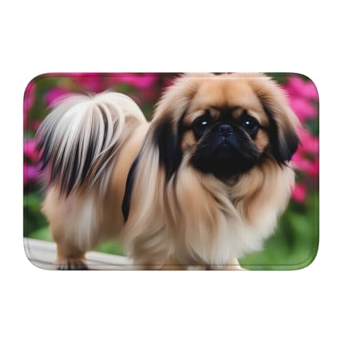 Bodenmatten-Saum, 40 x 60 YYHWHJDE mit niedlichem Pekinese-Muster, rutschfest, tropfgeformter Boden, ideal leicht zu reinigen und resistent gegen Verblassen von YYHWHJDE