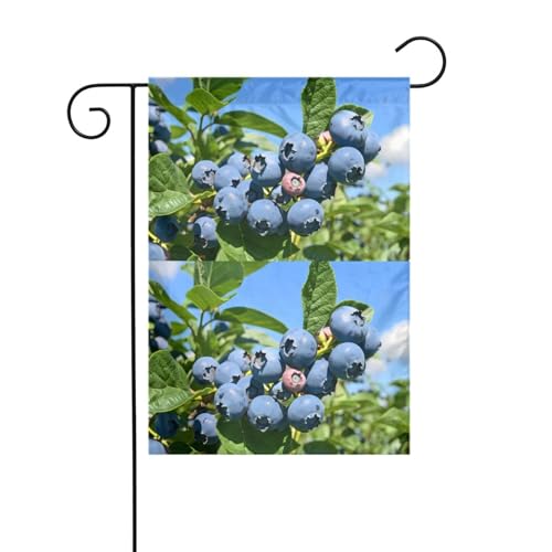 YYHWHJDE Blaubeerbaum-Drucke, Gartenflagge, Hofdekoration, 30,5 x 45,7 cm, dick von YYHWHJDE