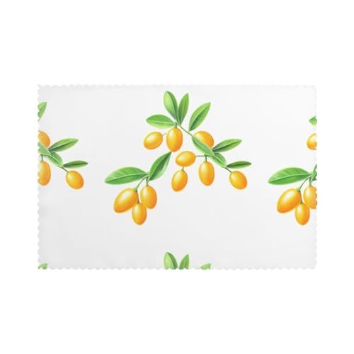 YYHWHJDE Glänzende kleine Kumquats Prints Tischsets für den Esstisch, 6 Stück, dickes und stabiles Design für hervorragende Verschleißfestigkeit, gute Faltenbeständigkeit von YYHWHJDE