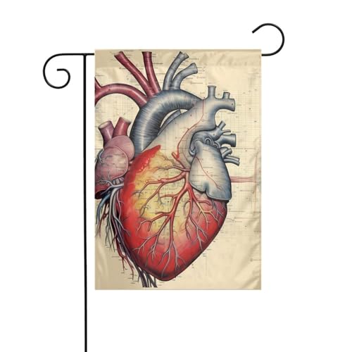 YYHWHJDE Menschliche Anatomie Herzdiagramm Muster Garten Fahnenmast Outdoor Hof Dekoration Mode 30,5 x 45,7 cm von YYHWHJDE