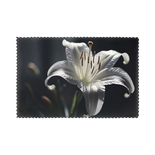 YYHWHJDE Platzsets mit Blumen-Motiv für Esstisch, 6 Stück, dickes und stabiles Design für hervorragende Verschleißfestigkeit, gute Faltenbeständigkeit von YYHWHJDE