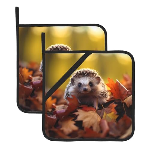 YYHWHJDE Quadratische isolierte Topfmatte mit kleinem Igel auf abgefallenen Blättern, 2-teiliges Set zur Wärmeisolierung beim Entfernen des Deckels, Mikrowelle, Backofen und Grillen im Freien von YYHWHJDE