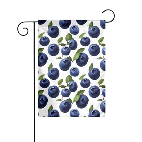 YYHWHJDE Süße und saure Blaubeeren Bild Garten Fahnenmast Outdoor Innenhof Dekoration doppelseitig 30,5 x 45,7 cm von YYHWHJDE