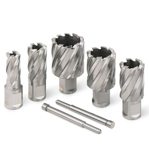 12-60 mm HSS-Ringschneider-Kernbohrer, 19 mm Weldon-Schaft, Hohllochsägenschneider for Metall- und Stahlschneidwerkzeug(22mmX25mm) von YYJOUPLM