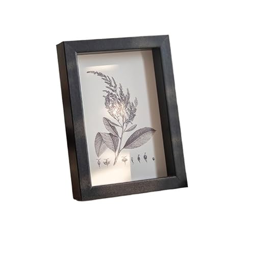 YYLUOYANG Bilderrahmen Holz Foto Rahmen Bilderrahmen Wand Shadow Box Trockenen Blume Halter Desktop Ornament(S5 photo frame,5in (8.9x12.7cm)) von YYLUOYANG