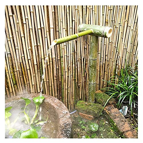 YYUINU Bambusbrunnen Mit Wasserpumpe, Outdoor Garten Landschaftsgestaltung Brunnenschmuck, Japanische Garten Wasserdekor, Zen Wasserbrunnen Dekoration,50~60CM YYUINU Bambusbrunnen Mit Wasserpumpe, Outdoor Garten Landschaftsgestaltung Brunnenschmuck, Japanische Garten Wasserdekor, Zen Wasserbrunnen Dekoration,50~60CM von YYUINU