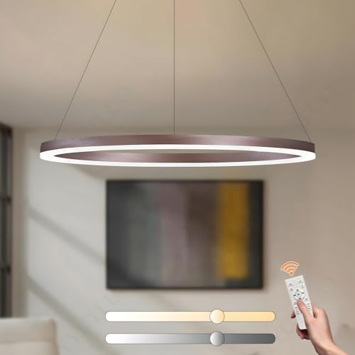 YYUTLUO Moderner DIY-Kreis-LED-Kronleuchter | 1 Braun Ringe:80cm=35W | LED-Pendelleuchte aus Metall+Acryl | 2,4 G Dimmbare Fernbedienung | Runde Decken-Hängelampe Wohnzimmer Schlafzimmer von YYUTLUO