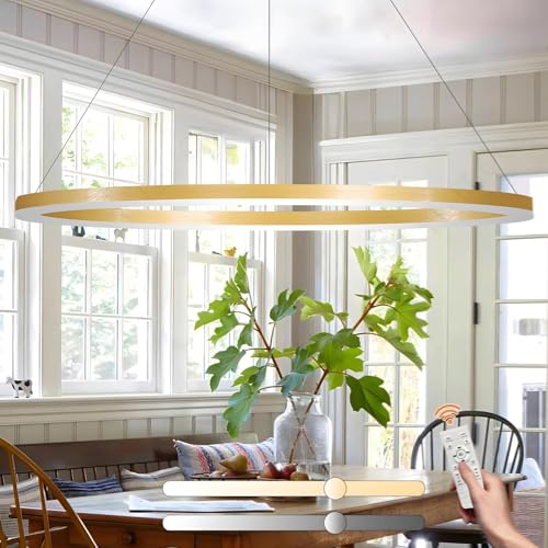 YYUTLUO Moderner DIY-Kreis-LED-Kronleuchter | 1 Golden Goldringe:100cm=45W | LED-Pendelleuchte aus Metall+Acryl | 2,4 G Dimmbare Fernbedienung | Runde Decken-Hängelampe Wohnzimmer Schlafzimmer von YYUTLUO