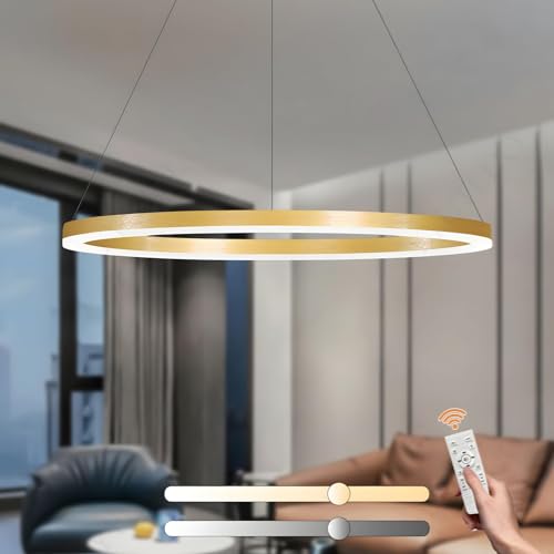 YYUTLUO Moderner DIY-Kreis-LED-Kronleuchter | 1 Golden Goldringe:80cm=35W | LED-Pendelleuchte aus Metall+Acryl | 2,4 G Dimmbare Fernbedienung | Runde Decken-Hängelampe Wohnzimmer Schlafzimmer von YYUTLUO