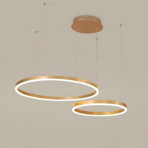 YYUTLUO Moderner DIY-Kreis-LED-Kronleuchter | 2 Golden Goldringe:40+60cm=40W | LED-Pendelleuchte aus Metall+Acryl | 2,4 G Dimmbare Fernbedienung | Runde Decken-Hängelampe Wohnzimmer Schlafzimmer von YYUTLUO