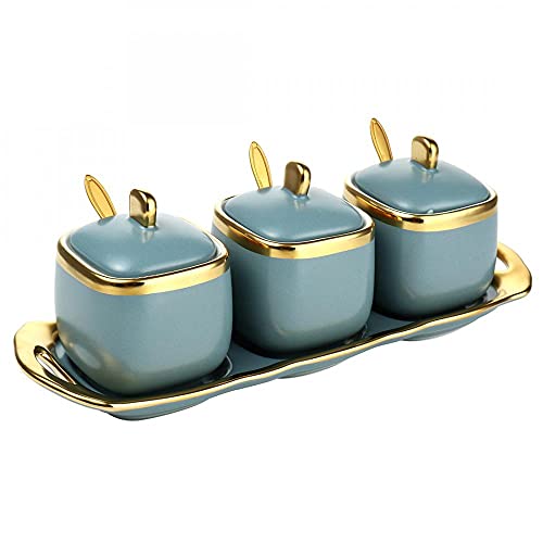YYW Keramik Gewürzgläser mit Deckel, Zuckerschalen Gewürztöpfe Vorratsdosen und Behälter Gewürzbox Set mit Deckellöffel und Tablett für Küche Aufbewahrungs-Sets von 3 (Grau Blau) von YYW