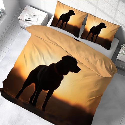 BettwäSche 135x200 Orange Bettbezug Set 3 Teilig Hund Flauschig BettbezüGe und 2 Kissenbezug 80x80, Allergiker BettwäSche-Sets Weiche Microfaser mit ReißVerschluss von YYZBS