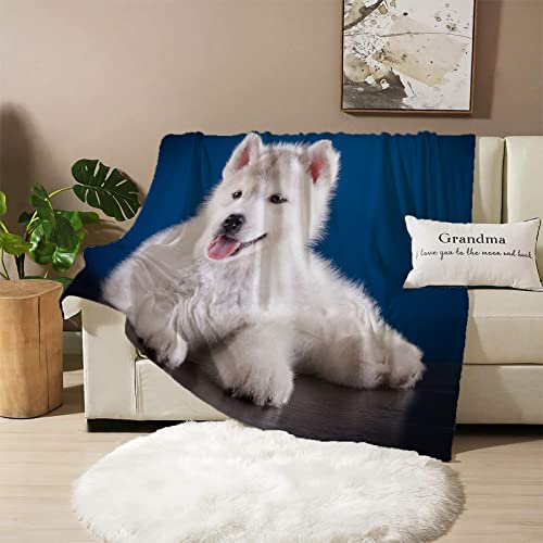 Kuscheldecke Blauer Samojede Kuscheldecken 180x220 Flauschige Decke fÜr Bett Sofa Sofadecke Wohnzimmerdecke Deko Camping Wohndecken von YYZBS