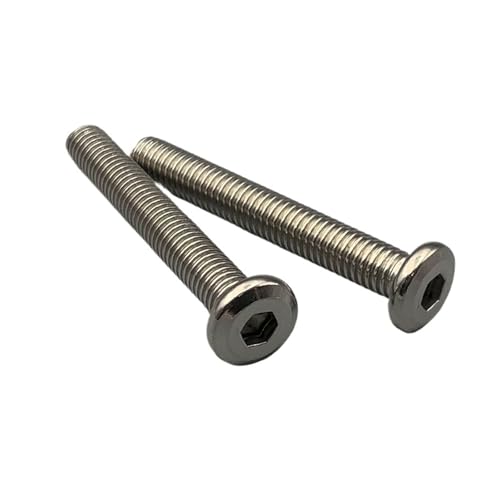 2 Stück M6 M8 201 304 Edelstahlschraube Hypothenuse Flachkopf Sechskant Innensechskant Invertiert Unten Möbelschraube(100mm,4Pieces 304SS M6) von YZADSXCL