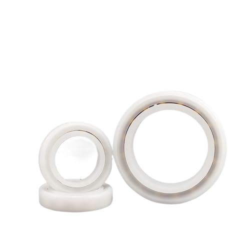 1 Stück Rillenkugellager Kunststofflager Wasserdicht/Rostfrei/Isoliertes Lager 2RS 6900 6901 6902 6903 6904-6908(6900-2RS-10x22x6mm) von YZATCDZG