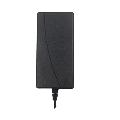 22V 2A 3A 4A 5A Netzteil DC 5,5 * 2,1MM(2A,22.2V_AU Plug) von YZATCDZG