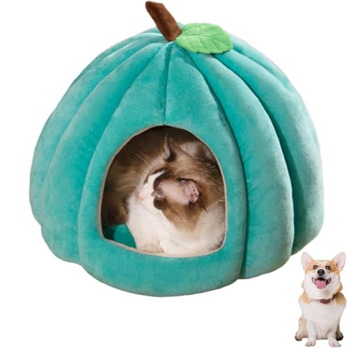 2025 Katzenhöhle in niedlicher Kürbisform, gemütliches Kürbis-Katzenbett mit abnehmbarem Kissen, warmes Höhlennest, Schlafbett für Indoor-Katzen und kleine Hunde, Halloween-Haustierzelt (Blau, S) von YZBBSH