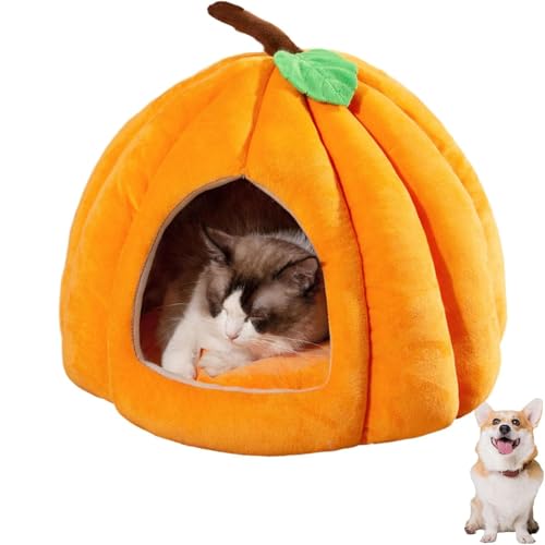 2025 Katzenhöhle in niedlicher Kürbisform, gemütliches Kürbis-Katzenbett mit abnehmbarem Kissen, warmes Höhlennest, Schlafbett für Indoor-Katzen und kleine Hunde, Halloween-Haustierzelt (Orange, L) von YZBBSH
