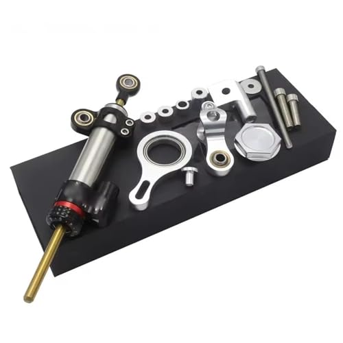 Motorrad Stabilisieren Lenkung Dämpfer Halterung Kit YZF R6 YZFR6 2006-2015 YZF-R1 YZFR1 2009-2012 Stoßdämpfer(B6) von YZCSYBBF