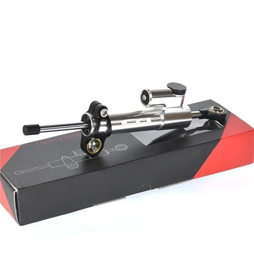 YZCSYBBF CB900F Hornet CB919 CB1000 CB 1000R 1100 1300 1300F Motorräder Einstellbare Lenkung Dämpfer Kit Stoßdämpfer(Silver Black6) von YZCSYBBF