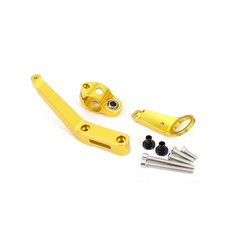 YZCSYBBF Für CBR954RR CBR929RR CBR900RR CBR 954 929 900 RR Motorräder Lenkung Stabilisieren Dämpfer Halterung Montage Halterung Kit(Gold) von YZCSYBBF