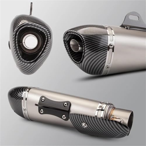 YZCSYBBF Motorrad Auspuffrohr Schalldämpfer CBR300R Für NINJA500 ZX4R R3 NSS750 GSX8R Fahrradauspuff(D Carbon TIP4) von YZCSYBBF