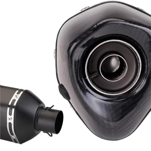 YZCSYBBF Motorrad Auspuffschalldämpfer Mittleres Verbindungsrohr Forza300 Forza 250 2020–2021 Fahrradauspuff(Type-D4) von YZCSYBBF