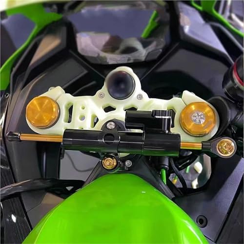 YZCSYBBF Motorrad Lenkungsdämpfer Montagehalterung Für Kawasaki ZX-4R 2023 ZX-4RR 2023 Stoßdämpfer(Silver12) von YZCSYBBF