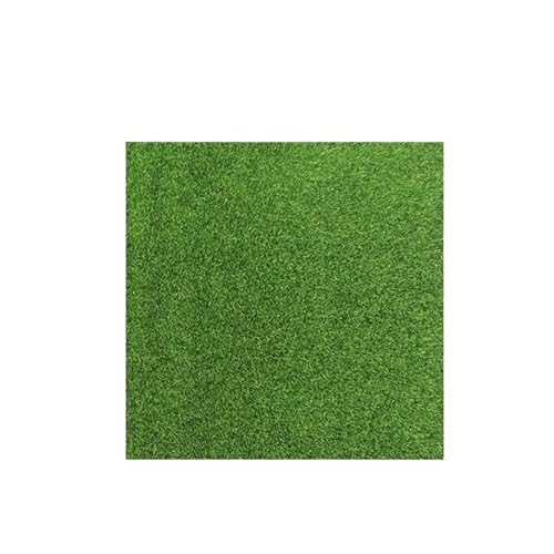 YZDKR Kunstrasen Garten Kunstrasen Outdoor Gartenarbeit Kunstrasen Gefälschte Gras Balkon Garten Liefert Teppich Teppich für Außenbereiche(1pc 30x30) von YZDKR
