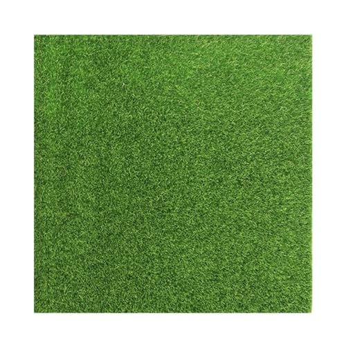 YZDKR Kunstrasen Gras Synthetisches Moos Simulation Gras Rolle Rasen Boden Gefälschte Rasen Outdoor Hinterhof Garten Dekoration Hause Ornament für Außenbereiche(50x50cm) von YZDKR