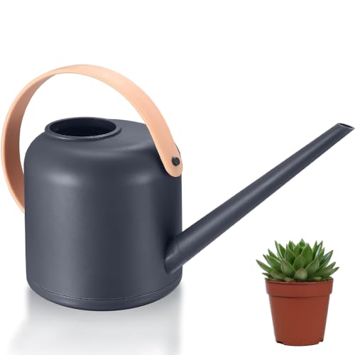 Gießkanne für Zimmerpflanzen, 1.7L kleine Gießkanne, Blumengießkanne Kunststoff Watering Can Langer Auslauf für Wohnung Außenpflanzen Sukkulenten(Grau) von YZDZSW