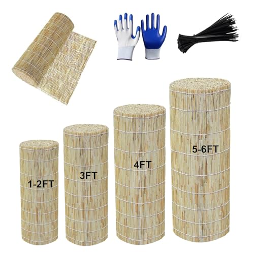 YZJTSXQHY Bambus Zaun Sonnenschutz Schilf Matten, Balkonsichtschutz Rollzaun Höhe 30 50 60 85 100 115 120 130 145 150 160 170 180 190 cm, UV Schutz Premium Schilfmatte Mit Kabelbinder von YZJTSXQHY
